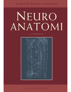 Neuroanatomi