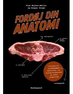 Fordøj din anatomi