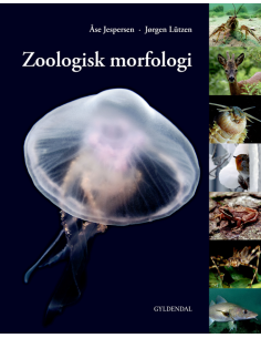 Zoologisk morfologi