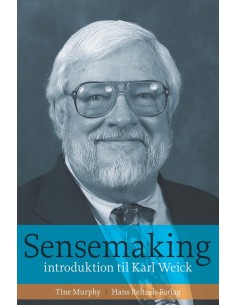 Sensemaking