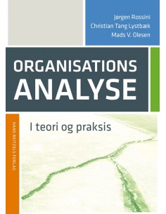 Organisationsanalyse i...