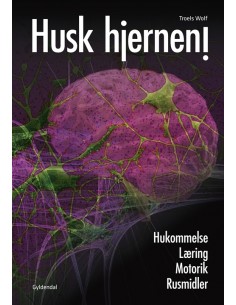 Husk hjernen!