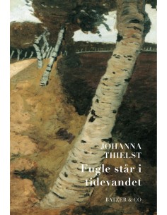 Fugle står i tidevandet