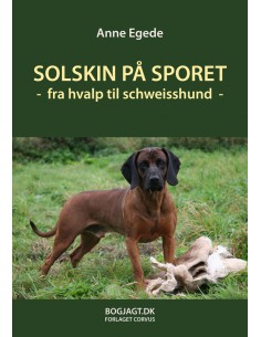 Solskin på sporet