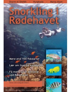Snorkling i Rødehavet