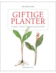 GIFTIGE PLANTER