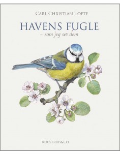 HAVENS FUGLE