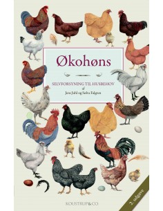 Økohøns
