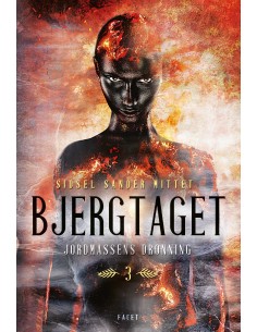 Bjergtaget 3