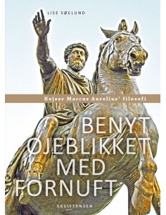 Benyt øjeblikket med fornuft