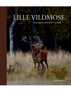 Lille Vildmose