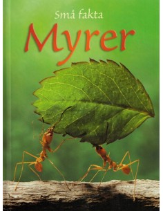 Små fakta: Myrer