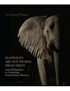 Elephants are not picked...