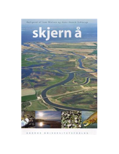 Skjern Å