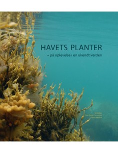 Havets planter