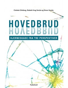 Hovedbrud