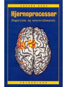 Hjerneprocesser