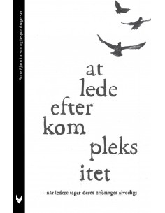 At lede efter kompleksitet