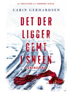 Det der ligger gemt i sneen