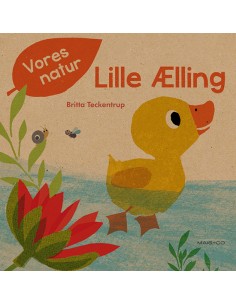 Vores natur - Lille Ælling