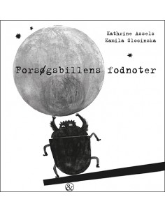 Forsøgsbillens fodnoter