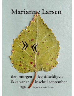 den morgen jeg tilfældigvis...