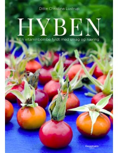 Hyben
