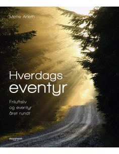 Hverdagseventyr