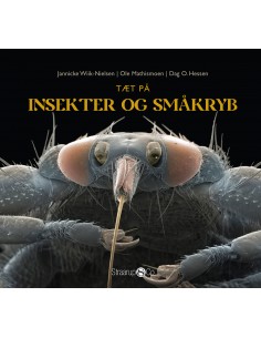 Tæt på insekter og småkryb