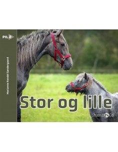 Stor og lille