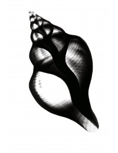 Mens jeg sover, glemmer jeg...