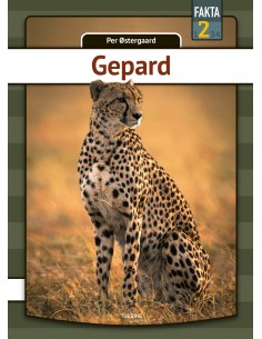 Gepard