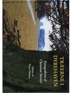 Træerne i Dyrehaven