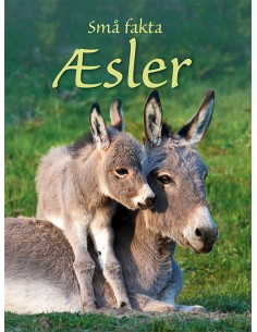 Små Fakta: Æsler