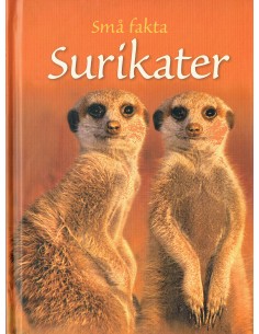 Små fakta: Surikater