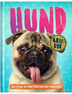 Kæledyr: Hund