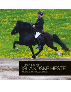Træning af islandske heste...