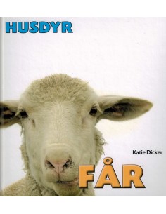 HUSDYR: Får