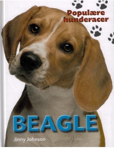POPULÆRE HUNDERACER: Beagle