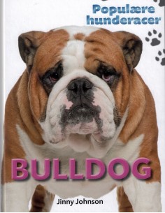 POPULÆRE HUNDERACER: Bulldog