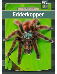 Edderkopper