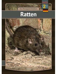 Ratten