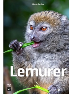 Lemurer