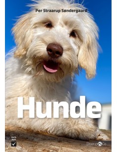 Hunde