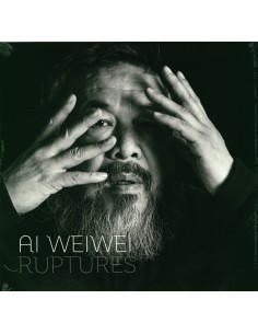 Ai Weiwei, Ruptures