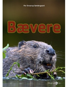 Bævere