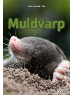 Muldvarp