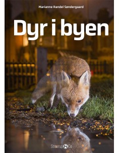 Dyr i byen
