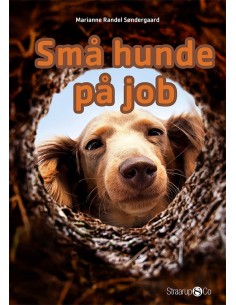 Små hunde på job