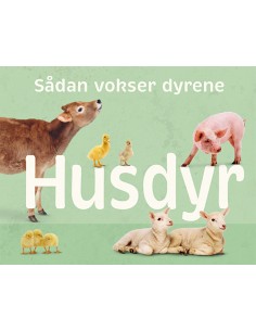 Sådan vokser dyrene: Husdyr